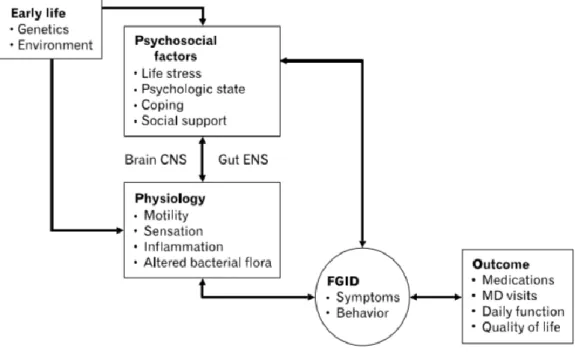 Figure  1.  A  biopsychosocial  conceptualization  of  the  pathogenesis  and  clinical 