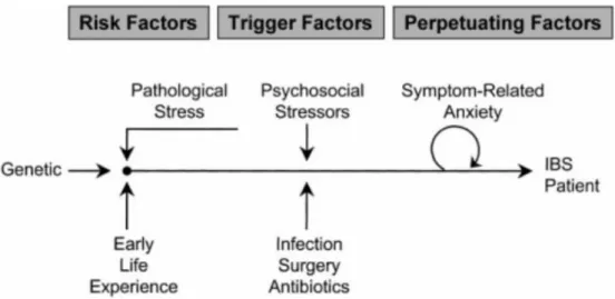 Figure  2.  “Role  of  stress  in  development  and  modulation  of  irritable  bowel 