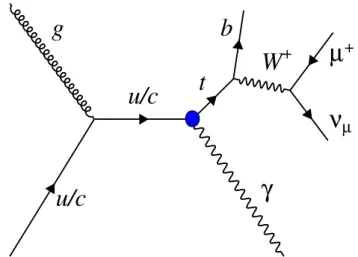 Figure 1. Lowest-order Feynman diagram for single top quark production in association with a photon via a FCNC, including the muonic decay of the W boson from the top quark decay