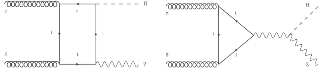 Figure 2. Feynman diagrams for the gg→ZH production processes involving a coupling between (left) the top quark and the Higgs boson or (right) the Z and Higgs bosons.