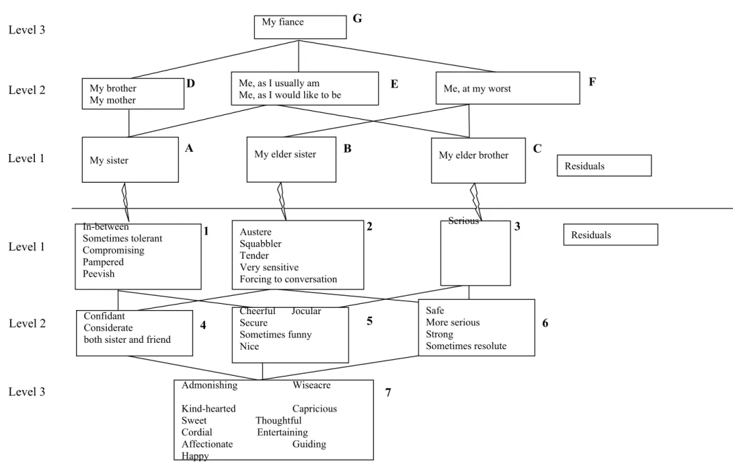 Figure 1.Representational Structure of N.B. produced by HICLAS