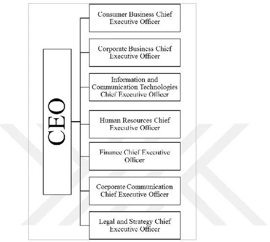 Figure 9 Top Level Organization Structure 
