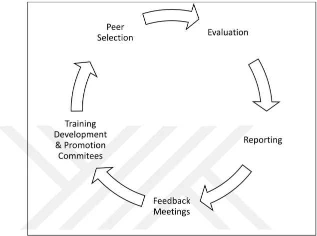 Figure 11 Behavioral Evaluation Process
