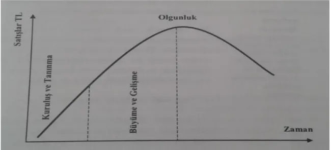 Şekil 2: Sektör Yaşam Seyri 