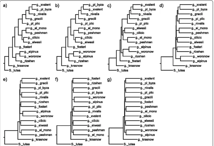 Figure 5 Chloroplast consensus trees belong to different mutation levels. Consensus trees generated at mutation levels (a) 1%, (b) 2%, (c) 5%, (d) 10%, (e) 15%, (f) 20%, (g) 25% for Chloroplast sequences