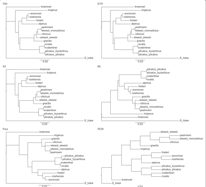 Figure 6 ITS Phylogenies belong to different Phylogeny construction methods. G. trojanus was able to locate into series Latifolii-subseries Glaucefolii by only RCM