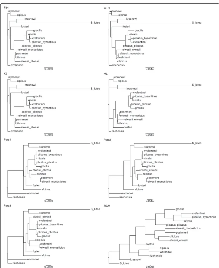 Figure 7 Chloroplast Phylogenies belong to different Phylogeny construction methods. Neither ML, nor Parsimony analysis were able to resolve the relationships among series Latifolii