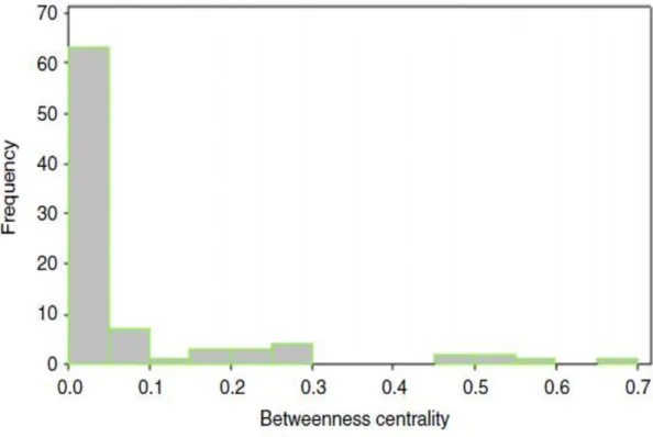 Figure 7-30 Figure 2.18(b) Frequency Distribution of Betweenness Centrality (Period 2) 