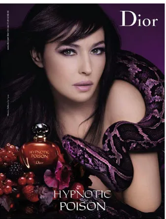 Figure 4.5: Hypnotic Poison by Dior Advertising Poster 
