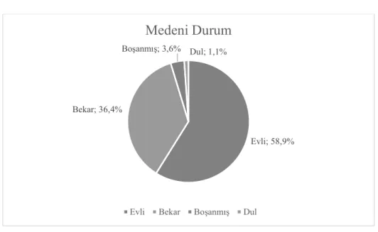 Şekil 6.4 Medeni Durum Pay Grafiği 