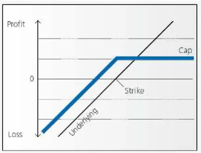 Figure 3.7: Payoff Graph of a Reverse Convertible 