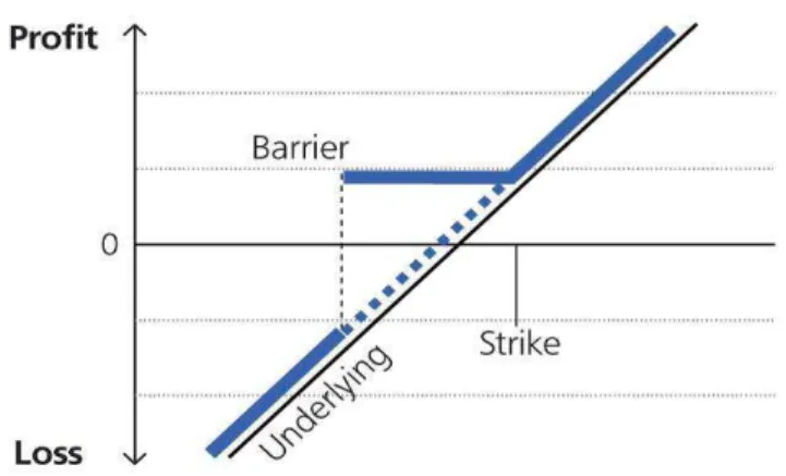 Figure 3.10 shows payoff graph of a BC.  