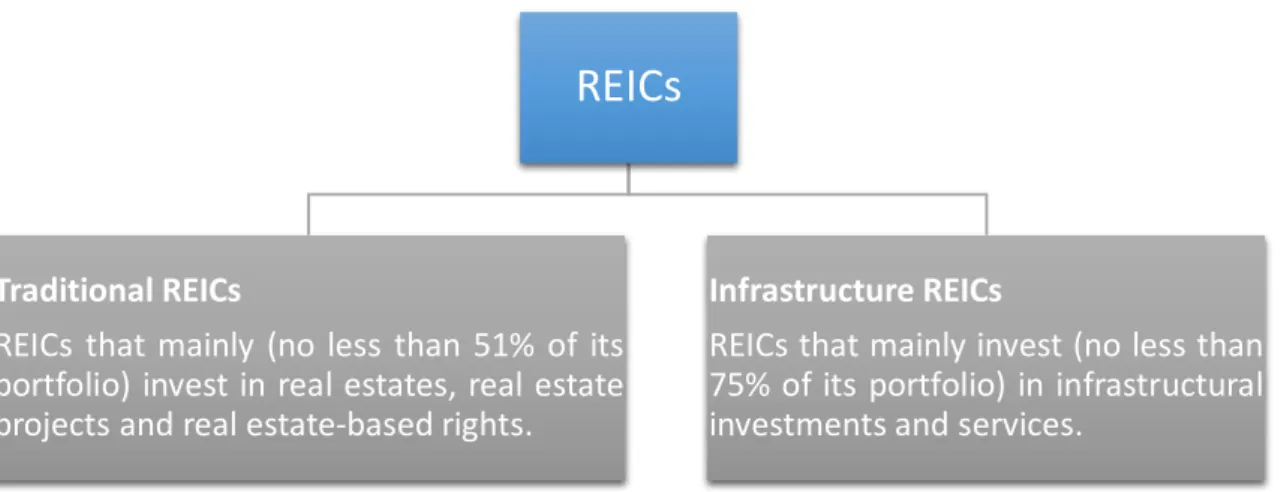 Table 2: Two Types of REICs in Turkey 