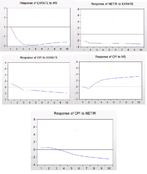 Table 1.3. Generated Impulse Response Functions 