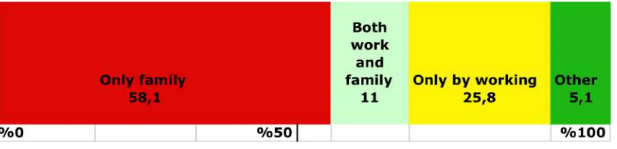 Table 8- Young People’s sources of income according to categories 