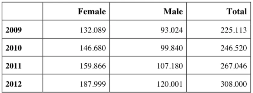 Table 11: Total Amount of Beds in Dormitories 