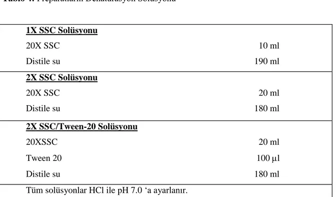 Tablo 4:  Preparatların Denatürasyon Solüsyonu 