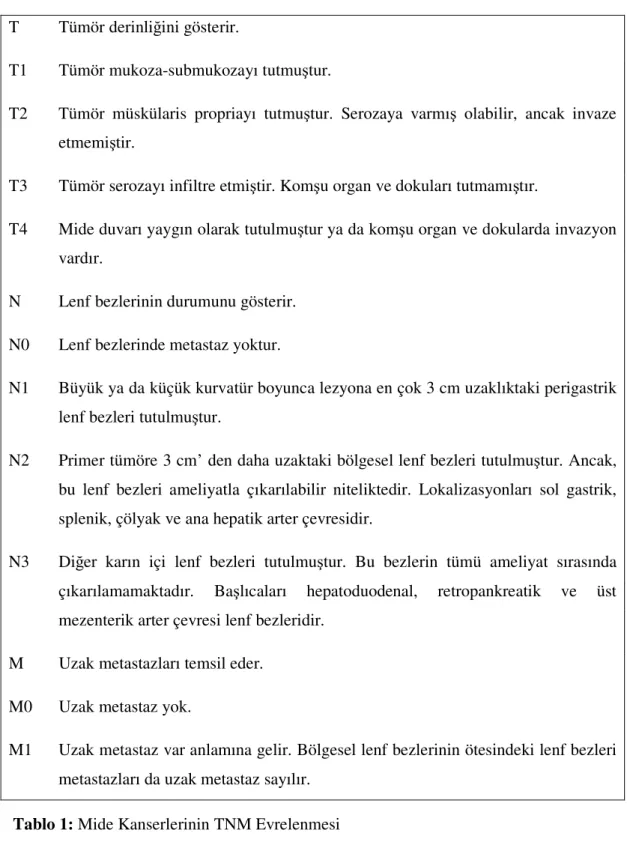 Tablo 1: Mide Kanserlerinin TNM Evrelenmesi 