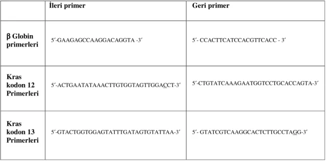 Tablo 3: Oligonükleotid Primerlerin Dizisi 