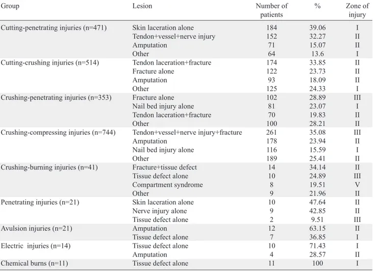 Table 2.  The lesion types and numbers of patients for each injury