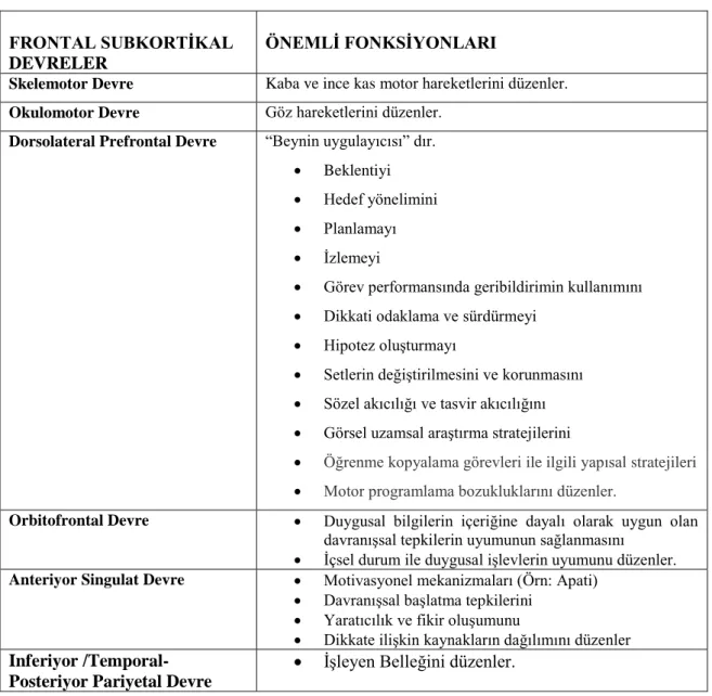 Tablo 2. Frontal Subkortikal Devrelerin Fonksiyonları (Miller,2007) 