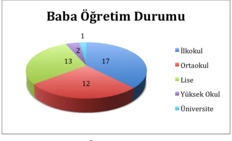 Grafik 9: Baba Öğrenim Durumu 