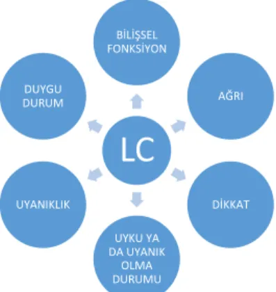 Şekil 1 LC’nin etkilediği mekanizmalar 