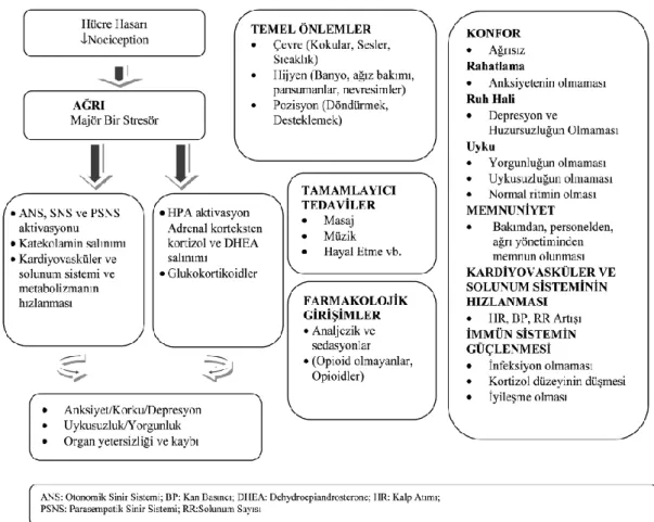 ġekil  1.  Çok  yönlü  ağrı  yönetimi  modeli  (Multimodal  pain  management  model)  (Cırık  ve  Efe, 2014)