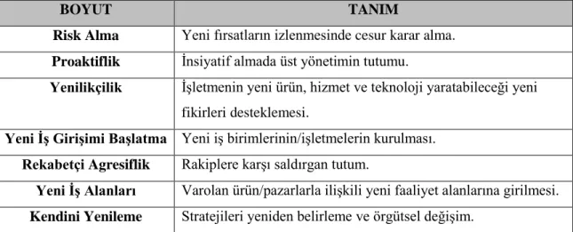 Tablo 1.4.1. İç Girişimciliğin Boyutları 