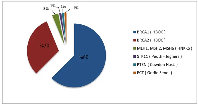 Şekil 3:   Ailesel yumurtalık kanser gelişimine neden olan gen mutasyonları (65,66,72) %60 %30 3% 1%  1% 1% BRCA1 ( HBOC )BRCA2 ( HBOC ) MLH1, MSH2, MSH6 ( HNKKS )STK11 ( Peuth - Jeghers )PTEN ( Cowden Hast