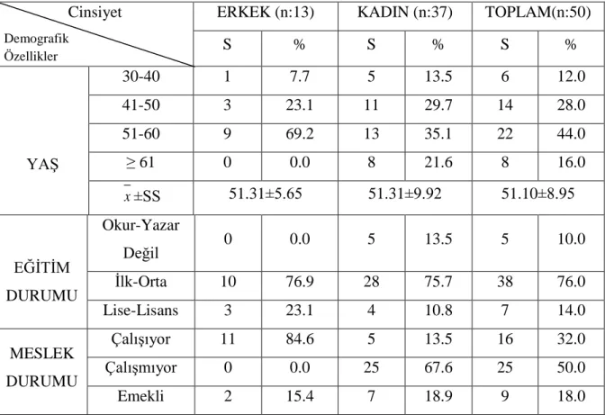 Tablo 8. Hastaların Demografik Özellikleri 