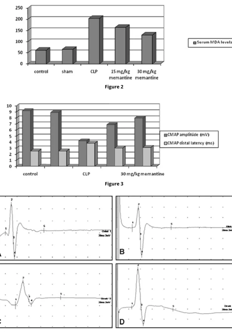 Figure 4Figure 2