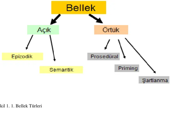 Şekil 1. 1. Bellek Türleri