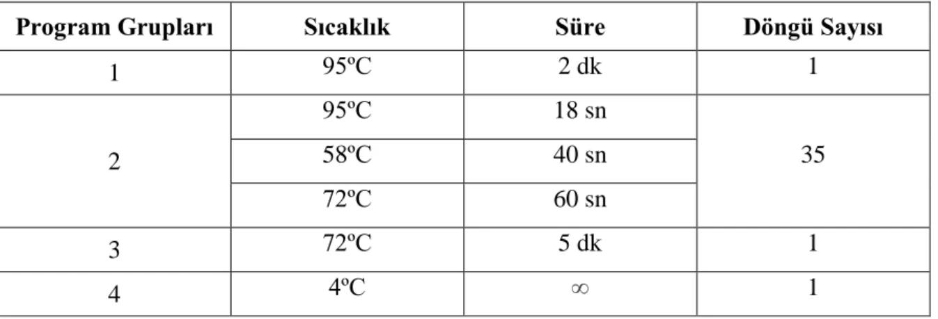 Tablo 4: Tüm Primerler İçin Oluşturulan PZR Protokolü 