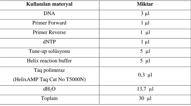 Tablo 5: GM-CSF Geninin Amplifikasyonu İçin Hazırlanan PZR Reaksiyonu Bileşenleri 