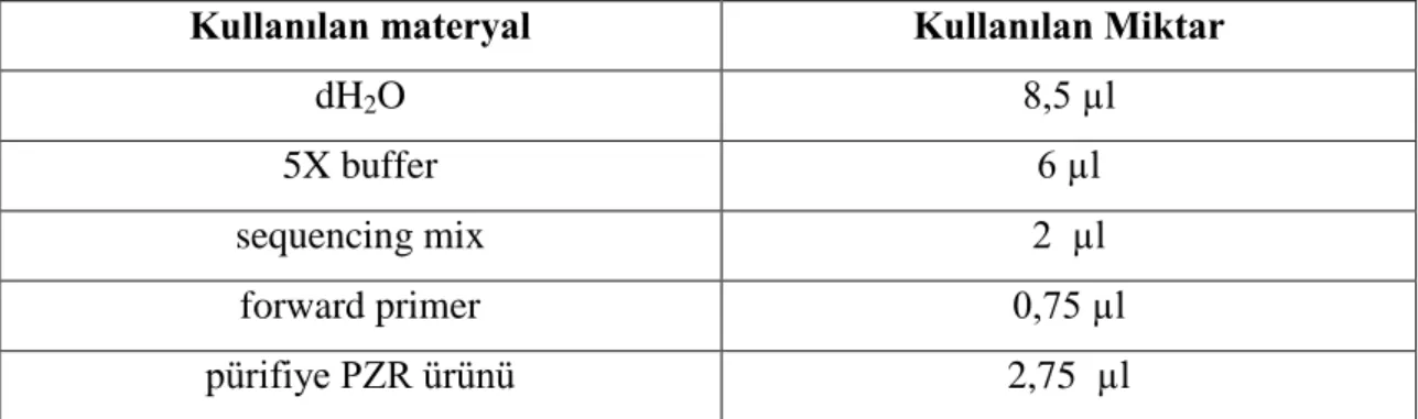 Tablo 6: Sekans PZR Protokolü Reaksiyon Bileşenleri 
