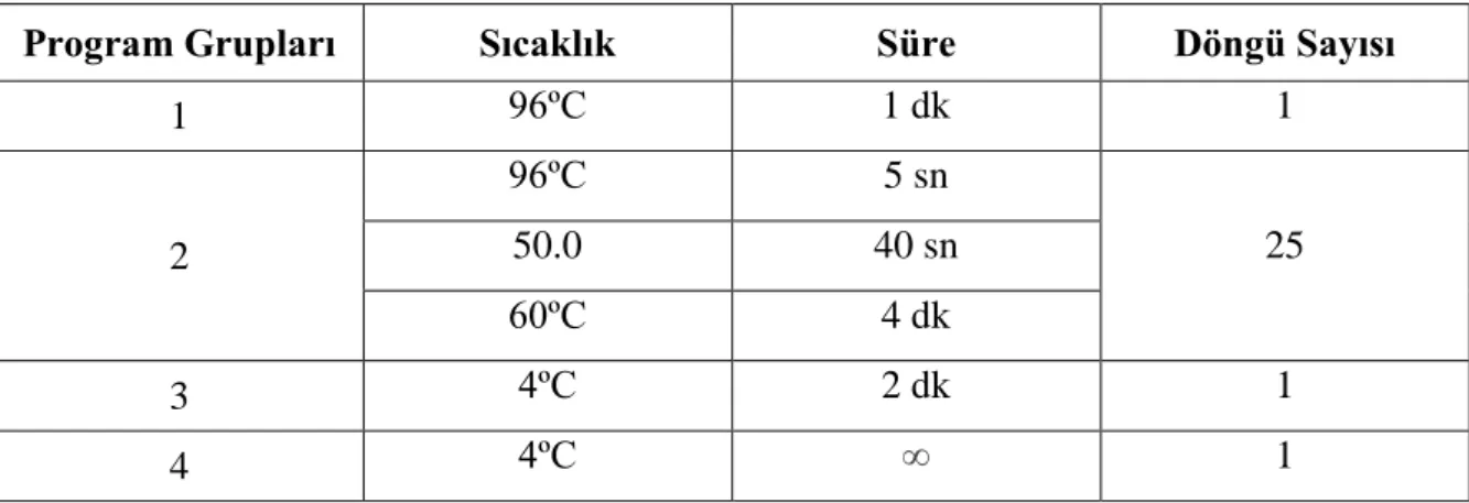 Tablo 7: Sekans PZR Protokolü 