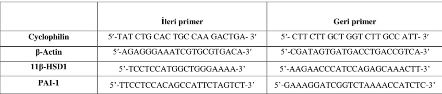 Tablo 8: RT-PCR ve QRT-PZR’da kullanılan primer dizileri. 