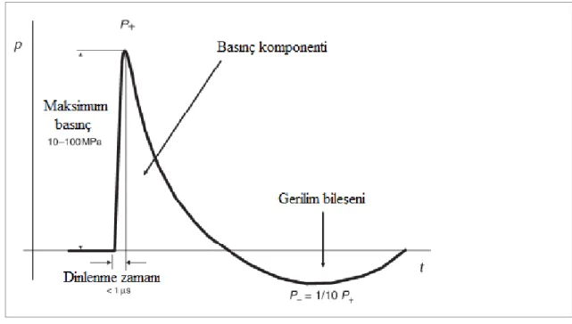 Grafik 1:  Tipik bir şok dalgası (3) 