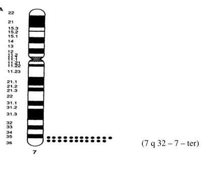 Tablo 1. eNOS geni ekson özellikleri ve intron-ekson bağlantıları 