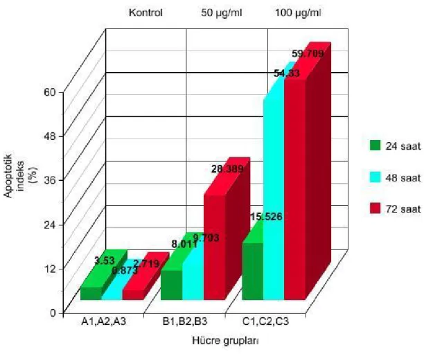 Grafik 1: 0, 50 ve 100 µg /ml EGCG dozlarına ait apoptotic etki grafiği (p&lt;0,001 ve A, B, C gruplarının ortalamaları arasındaki farklar anlamlıdır)