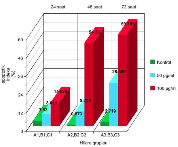 Grafik 2: EGCG`nin zaman etkisi