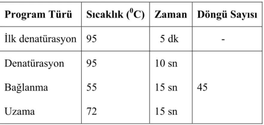 Tablo 9. AID transkript varlığının belirlenmesinde kullanılan Gerçek Zamanlı PZR  programı 