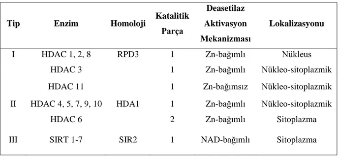 Tablo 1: HDAC enzimleri. 