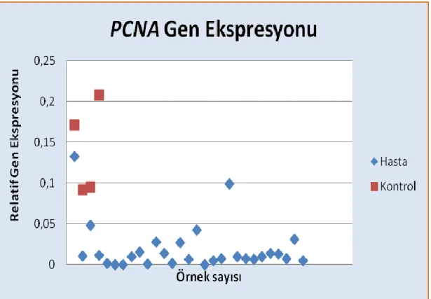 Grafik 1: Hasta ve kontrol grubunun PCNA gen ekspresyonu karşılaştırılmaları. 