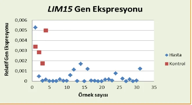 Grafik 4: Hasta ve kontrol grubunda Lim15 geni ekspresyonunun karşılaştırılması. 