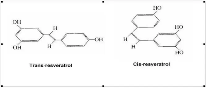 Şekil 4. 2:Resveratrol’ un Moleküler Yapısı 