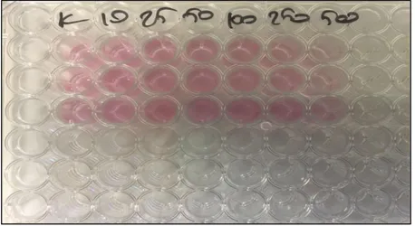 Şekil 5.7  :MTT Testi  Öncesi 96 Kuyucuklara  Ekilmiş Hücreler 