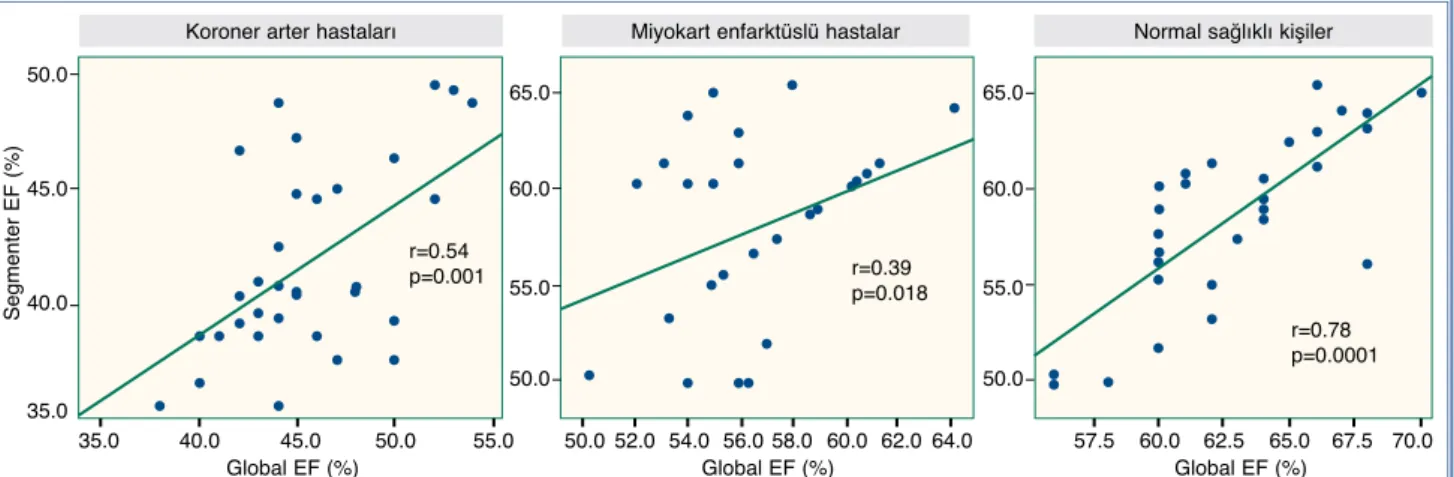 Şekil 6.  Sol ventrikül segmenter ve global ejeksiyon fraksiyonu (EF) arasındaki ilişki