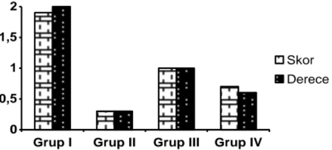 Şekil  2.  Gruplardaki  ratların  kesi  hattındaki  yapışıklıkların  derece  ve  skorlarının grafiksel gösterilmesi